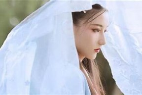 果冻传媒麻豆杨柳最新作品解读与精彩瞬间分享