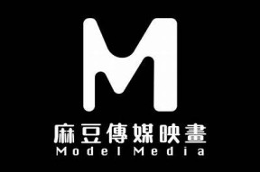 麻豆文化传媒工作证：助力创意内容与职场发展