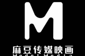 陈心蕊：探索麻豆传媒背后的创作故事与发展历程