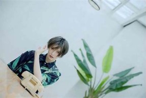麻豆传媒14集视频在线免费观看，揭秘精彩内容与幕后花絮