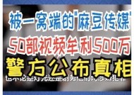 全国麻豆传媒经济发展现状与前景检视报告