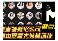 探索麻豆文化传媒的魅力与发展前景