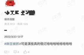 麻豆传媒评测：深入解析国内视频平台的表现与用户体验