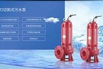 麻豆区传媒在线观看，海量精彩资源，尽享视听盛宴！