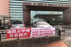 石家庄麻豆传媒：探索地方文化与创意产业的新机遇