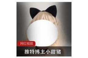 小猪视频麻豆传媒：探索创意短视频的精彩世界