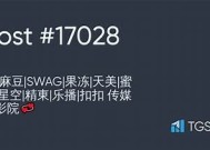麻豆Swag精品传媒：引领时尚潮流，打造特有视觉盛宴