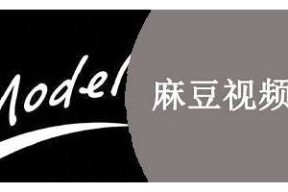麻豆传媒iOS版下载攻略与使用体验分享