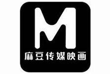 麻豆传媒的成长历程与发展历程解析：从创立到行业领军的转变