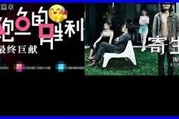 麻豆传媒为何不封贴吧的根本原因解析与影响探讨