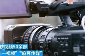 探秘麻豆传媒：如何安全获取破解版会员服务？
