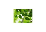优质麻豆电影推荐：探索精彩影视世界与无与伦比视角