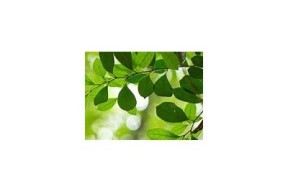 优质麻豆电影推荐：探索精彩影视世界与无与伦比视角