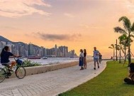 优质内容与精彩视听：探索麻豆视传媒VIP会员独享特权与福利