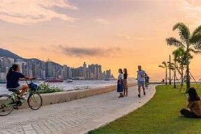 优质内容与精彩视听：探索麻豆视传媒VIP会员独享特权与福利
