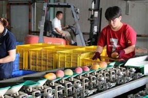 探索麻豆天美星空果冻传媒的创意与魅力，开启多彩视觉之旅