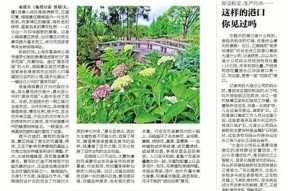 蜜桃传媒天美京东：揭秘最新热门影视及传媒动态
