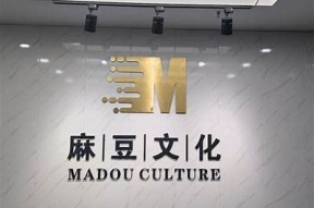 麻豆文化传媒：探索张云熙的精彩人生与职业历程