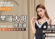 薰衣草麻豆传媒：探索优质内容与创意营销的完美结合