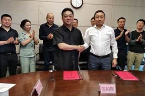麻豆传媒三十企划：推动数字内容创作与传播的新路径