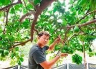 麻豆传媒推出新项目，水果售卖引领新潮流！