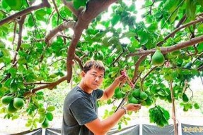 麻豆传媒推出新项目，水果售卖引领新潮流！