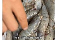 麻豆传媒MD0056刺青师：影视风格深度解析与欣赏