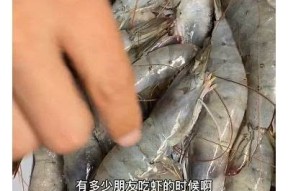 麻豆传媒MD0056刺青师：影视风格深度解析与欣赏