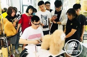 免费观看麻豆免费传媒视频，高清精彩内容尽在这里！
