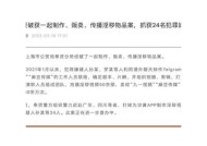 野草集：探寻麻豆传媒背后的创意与激情