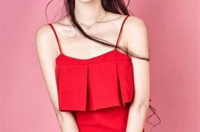麻豆传媒女成员完整介绍与个人魅力揭秘