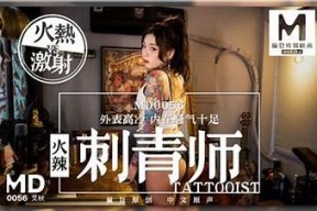 探索麻豆传媒：揭秘创意与品质的完美结合
