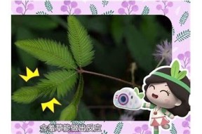 探索含羞草麻豆传媒A：全新视角下的创意与艺术