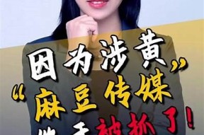 麻豆传媒被捕人员名单揭秘：涉及多名知名人士的最新更新