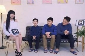 探索麻豆传媒：国产影视行业的先锋与创新之路