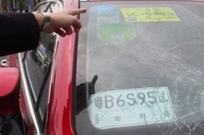 麻豆传媒32集完整版磁力下载地址分享与解析