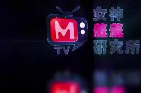 麻豆传媒人妻中文在线：探索精彩视频与特有视角的交汇
