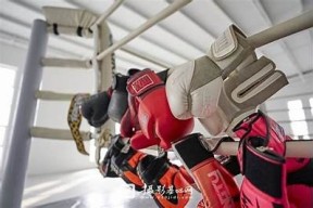 探索麻豆爱传媒：提供优质影视资源的看片平台解析