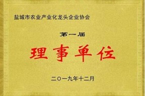 98堂麻豆传媒课程：助你成为视频创作高手