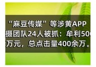 探索麻豆传媒社区：互动分享与创意无限的多元平台