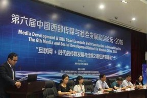 陕西麻豆传媒：探索西部文化与数字创意的完美结合