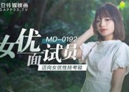 彻底解析麻豆AV剧情：热门作品与影视背后的故事