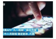 为何打黄办对麻豆传媒采取未抓捕措施的动因解析