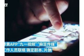 为何打黄办对麻豆传媒采取未抓捕措施的动因解析