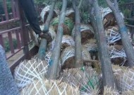 麻豆影视：优质国产AV影片在线观看平台推荐