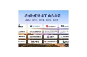 仙踪林：探索麻豆文化传媒公司背后的创意与魅力