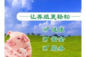 久久麻豆视传媒官方网站：优质内容与用户体验的完美结合