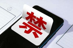 麻豆传媒APP下载链接及使用指南，轻松获取最新资源