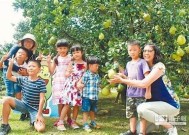 麻豆传媒双语：探索丰富多彩的影视文化与语言魅力