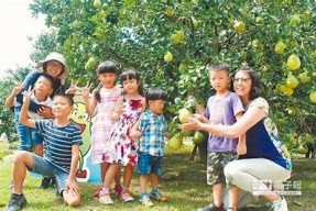 麻豆传媒双语：探索丰富多彩的影视文化与语言魅力